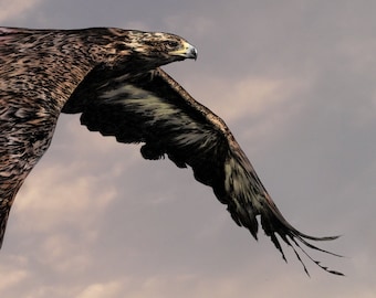 FREEDOM IN CHRIST #4 Trust In The Lord & Soar High On Wings Like Eagles - Isaiah 40: 31 - Art Print