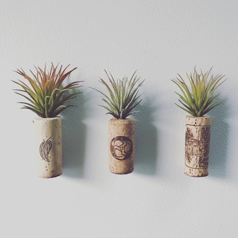 SALE Air Plant Wine Cork artificial Plant Etsy