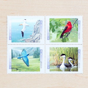 Timbres des oiseaux du Canada, calligraphie de mariage, canadienne, merlebleu des montagnes, oiseau rouge, fou de bassan, grèbe élégant, océan