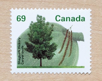 2 Fruit Tree Postage Stamps, Canada, Shagbark Hickory, Wedding Calligraphy Envelopes, Canadian, Fruit Trees of Canada