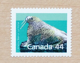 2 Atlantic Walrus Postage Stamps, Canada, Wedding Calligraphy Envelopes, Canadian Wildlife Animals, Mammals