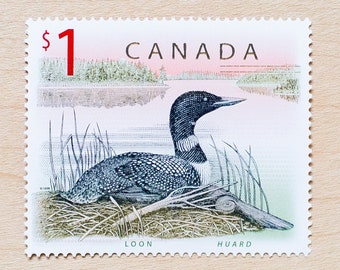 Loon Postage Stamp, Canada, Wedding Calligraphy Envelopes, Canadian, Birds, Loon, Bird, Water, Neutral Colour