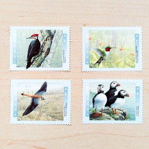 Sellos postales de aves de Canadá, caligrafía de boda, canadiense, colibrí, frailecillo atlántico, pájaro carpintero crestado, pájaro