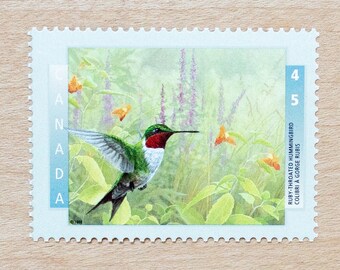 4 Hummingbird Postage Stamps, Birds, Canada, Wedding Calligraphy, Canadian, Tropical, Woodland, Forest, Meadow, Bird