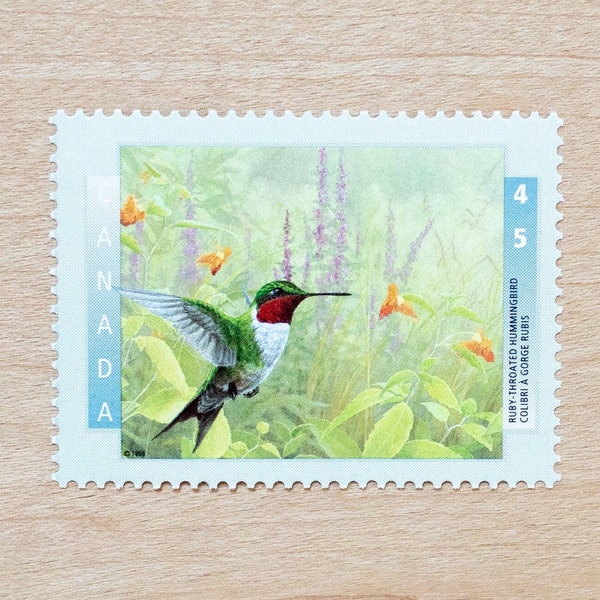 4 Hummingbird Postage Stamps, Birds, Canada, Wedding Calligraphy, Canadian, Tropical, Woodland, Forest, Meadow, Bird