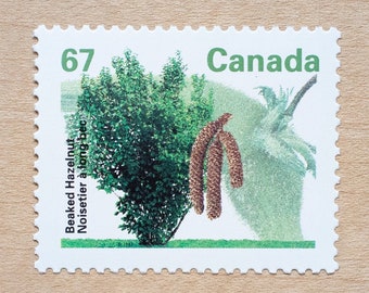 2 Fruit Tree Postage Stamps, Canada, Beaked Hazelnut, Wedding Calligraphy Envelopes, Canadian, Fruit Trees of Canada