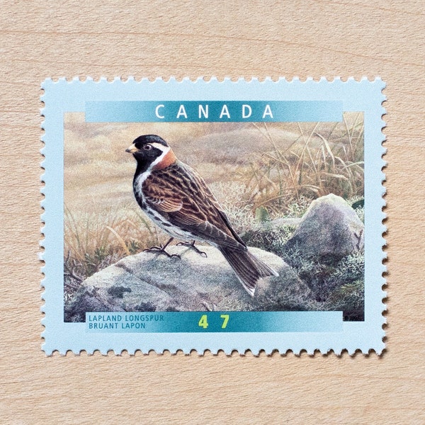 4 Lapland Longspur Postage Stamps, Birds, Canada, Wedding Calligraphy, Canadian, Alaska, Brown, Beige, Neutral Colour, Arctic b1