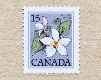 4 Wildflower Postage Stamps, Violet Flower, Wedding Calligraphy, Canadian Flowers, Canada, Botanical, Neutral Gray, woc f1
