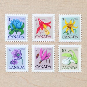 6 sellos postales de flores silvestres, flores de Canadá, botánica, sobres de caligrafía para bodas, flores canadienses, lirio, estrella fugaz f1