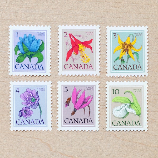 6 Wildflower Postage Stamps, Canada Flowers, Botanical, Wedding Calligraphy Envelopes, Canadian Flower, Lily, Shooting Star f1