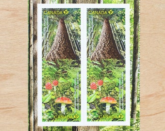 4 Forest & Mushroom Postage Stamps, Canada, Botanical Plants, Wedding Calligraphy, Photography Flat Lay, Year of the Forests