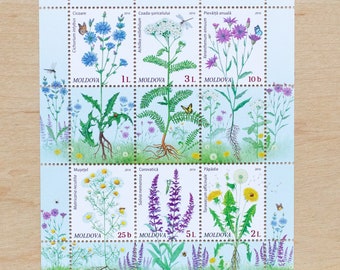 6 Timbres Fleur, Moldavie, Fleurs De Jardin, Dessins Botaniques, Calligraphie De Mariage, Plantes, Botanique