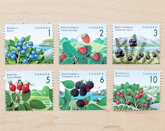 6 Berry Postage Stamps, Canadian, Flowers and Plants, Wedding Calligraphy, Blueberry, Strawberry, Rose Hip, Botanical Berries, Fruit f1