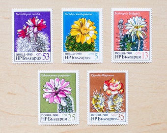 5 Cactus Flower Postage Stamps, Bulgaria, Unused, Desert Plants, Wedding Calligraphy Styling, Cacti Flowers, Bloom