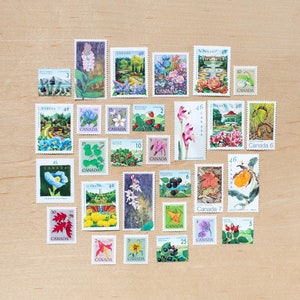 29 sellos postales de jardines de flores, Canadá, caligrafía de bodas, canadiense, hongos, jardines botánicos, bayas, orquídeas, árboles