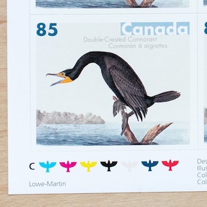 6 Kormoran Briefmarken, Kanada, Vögel, Hochzeit Kalligraphie, Schwarz Weiß, Neutrale Farbe, Audubon, Tiere, Seen