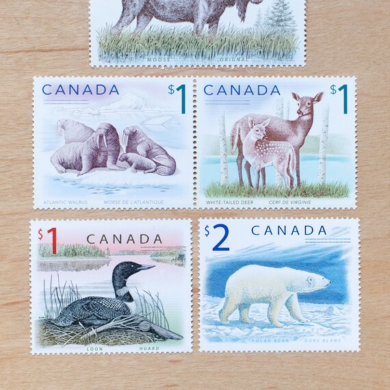 Wildlife Postage Stamp, Canada, Polar Bear, Moose, Walrus, Deer, Loon, Wedding Calligraphy, Canadian Animals, Bears, Forest, Arctic, Lakes - Etsy Wildlife Postage Stamp, Canada, Polar Bear, Moose, Walrus, Deer, Loon, Wedding Calligraphy, Canadian Animals, Bears, Forest, Arctic, Lakes - Etsy