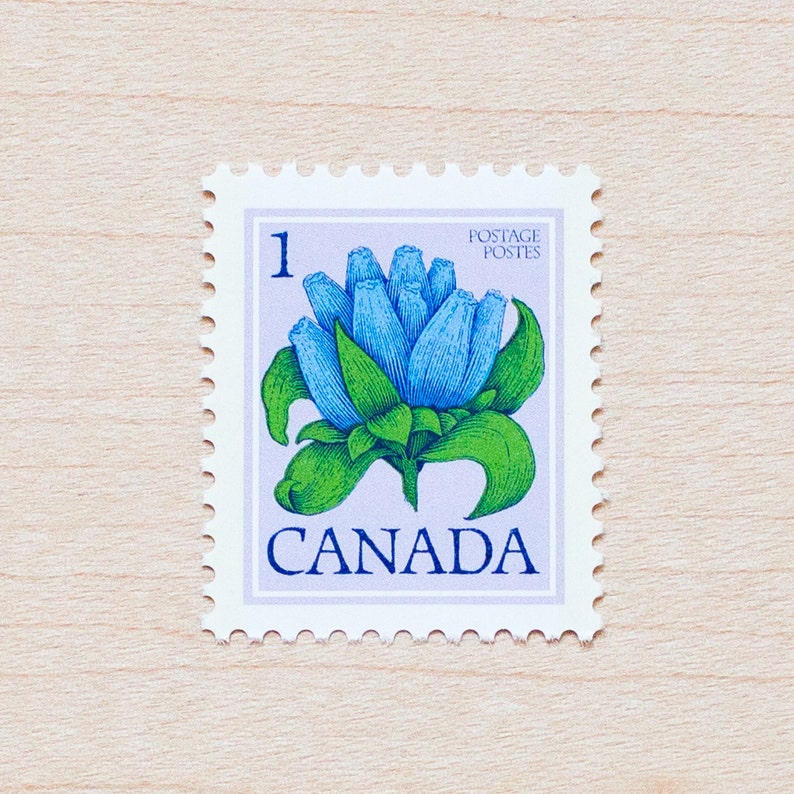 18 Canada Flower Stamps Canadian Wildflower Postage Unused Etsy