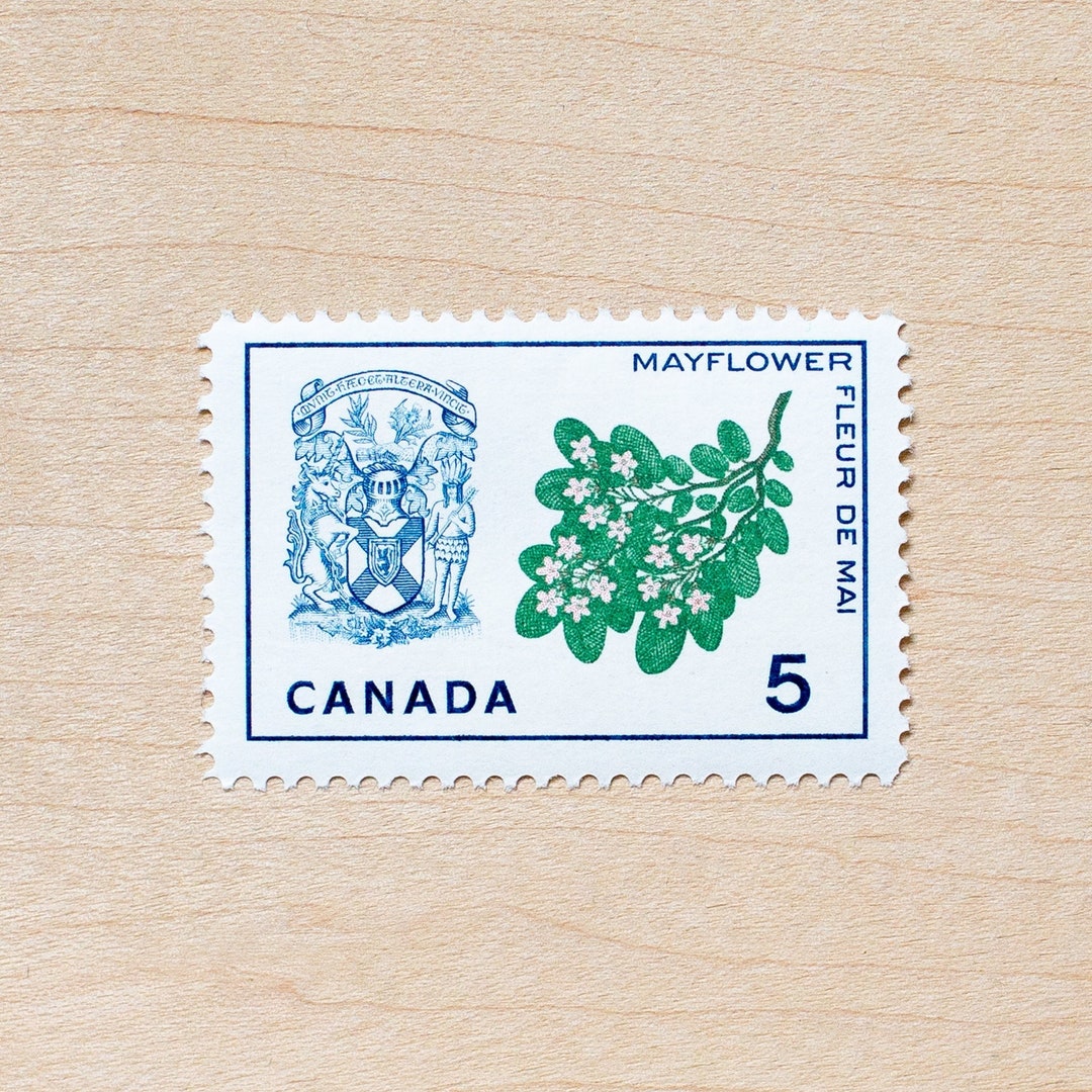 8 Nova Scotia Postage Stamps Canada Wildflower Halifax Etsy