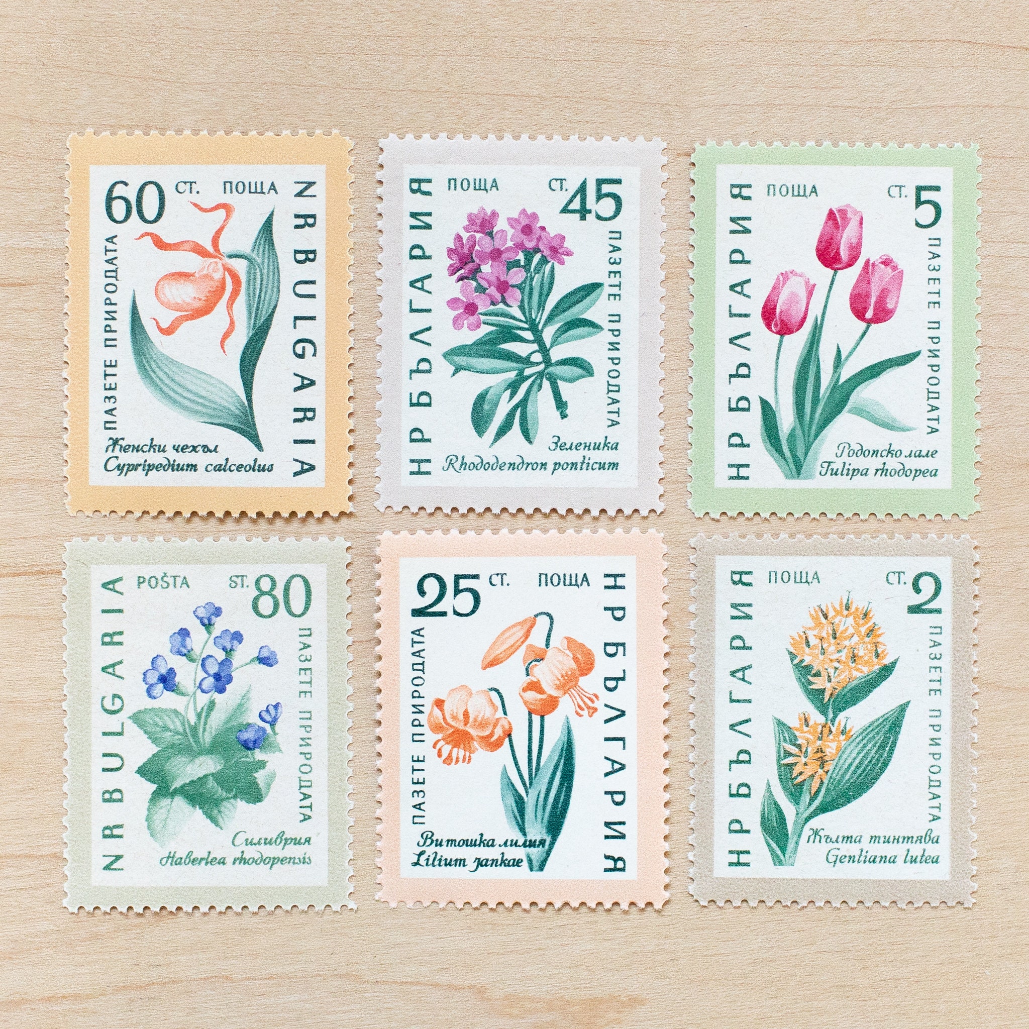 6 Flower Postage Stamps, Bulgaria, Botanical, Calligraphy Wedding  Stationery Styling, Flowers, Peach, Pink, Pastel, Tulips, Rhododendron