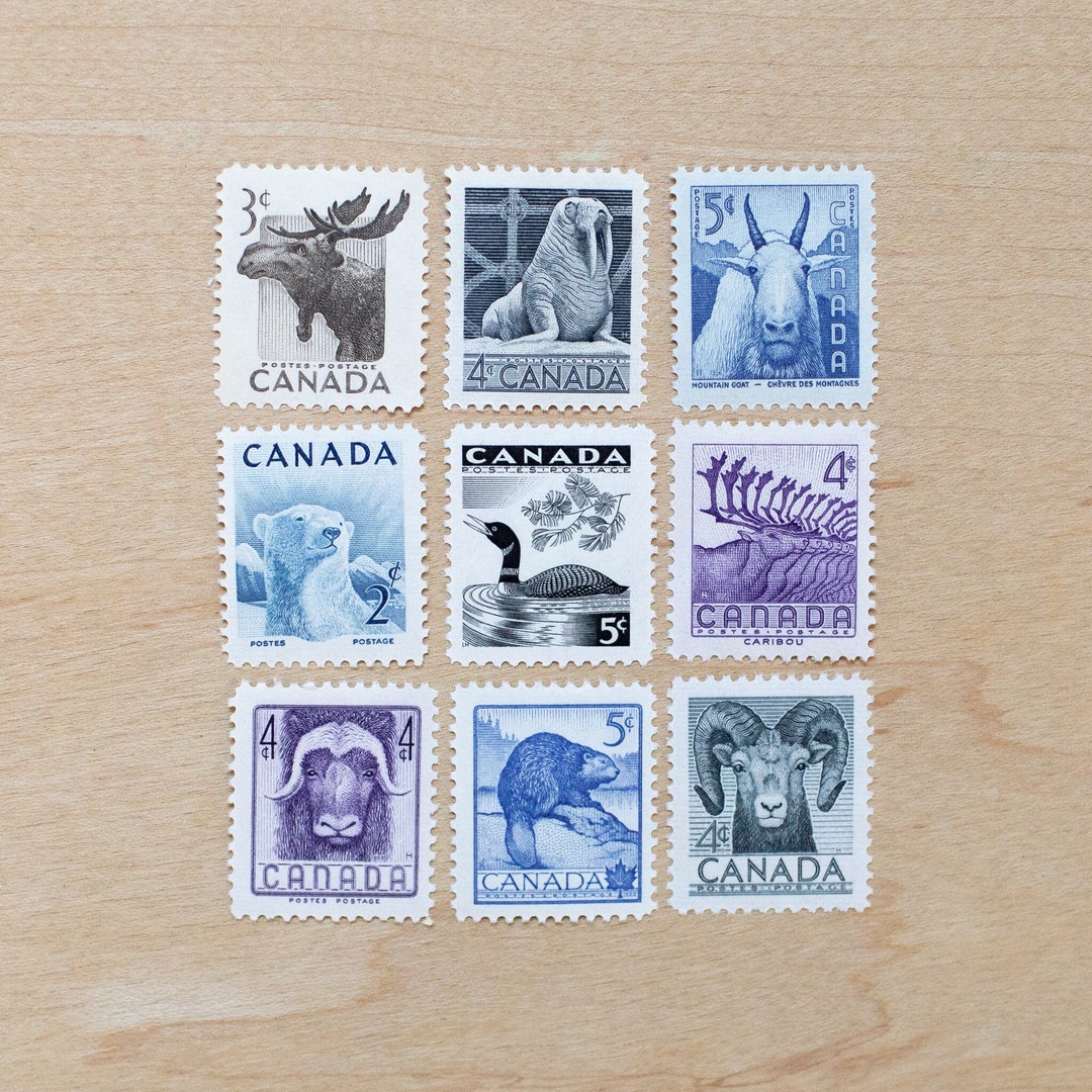 おすすめネット il_1080xN.5897909579_porr.jpg 貨幣収集、切手収集
