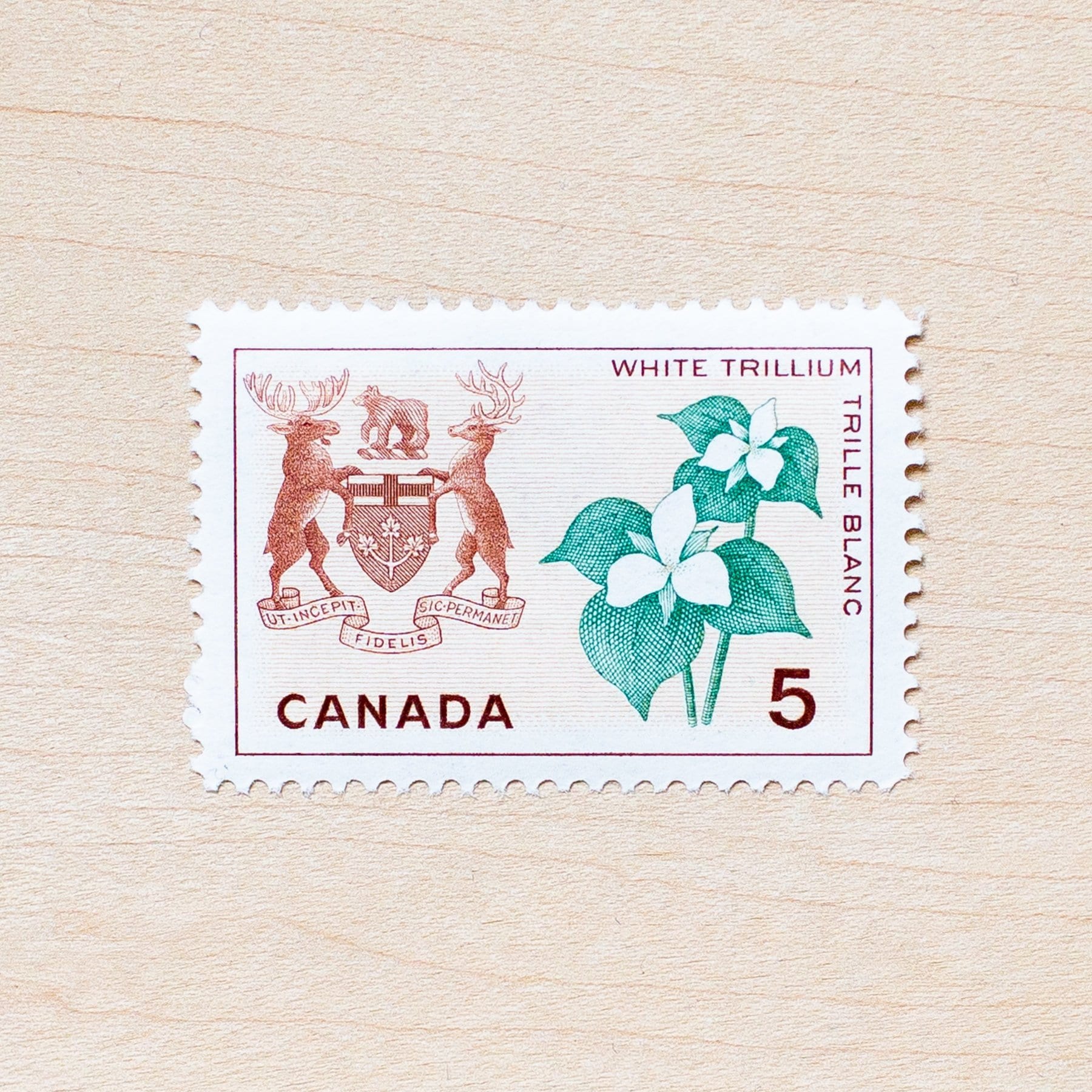 8 Ontario Coat of Arms Postage Stamps Canada Wildflower Etsy