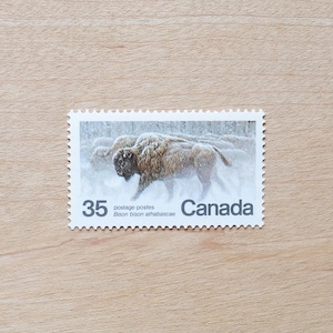 4 sellos postales de bisonte, beige neutro, canadienses antiguos, fauna silvestre, nieve invernal, caligrafía de boda, parque nacional, fauna silvestre