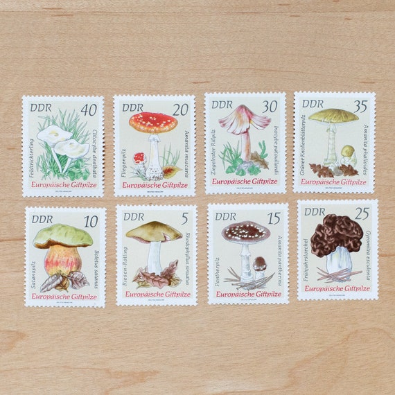 8 Mushroom Postage Stamps Germany Mushrooms Botanical - Etsy