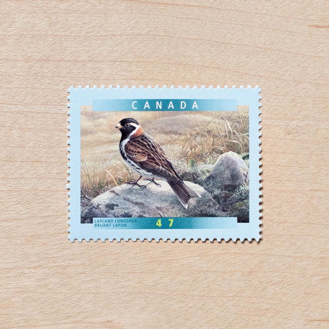 4 Lapland Longspur Postage Stamps, Birds, Canada, Wedding Calligraphy, Canadian, Alaska, Brown ...