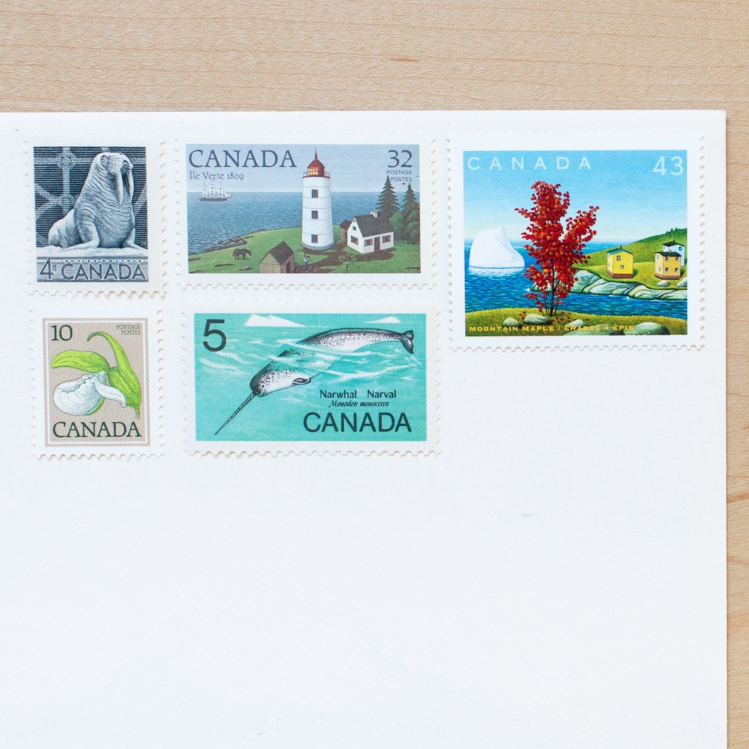 6 Canada Postage Stamps, Domestic Letter Set, Canadian, Wedding Calligraphy, Narwhal, Lighthouse