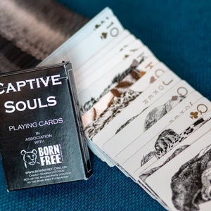 Captive Souls Playing Cards