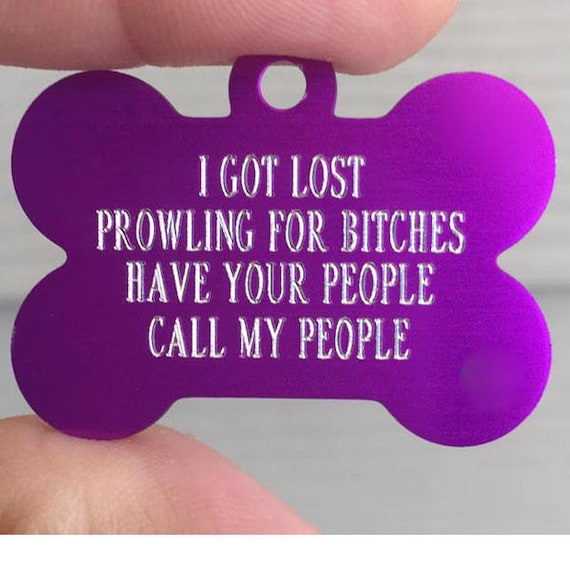 painted turtle lighting