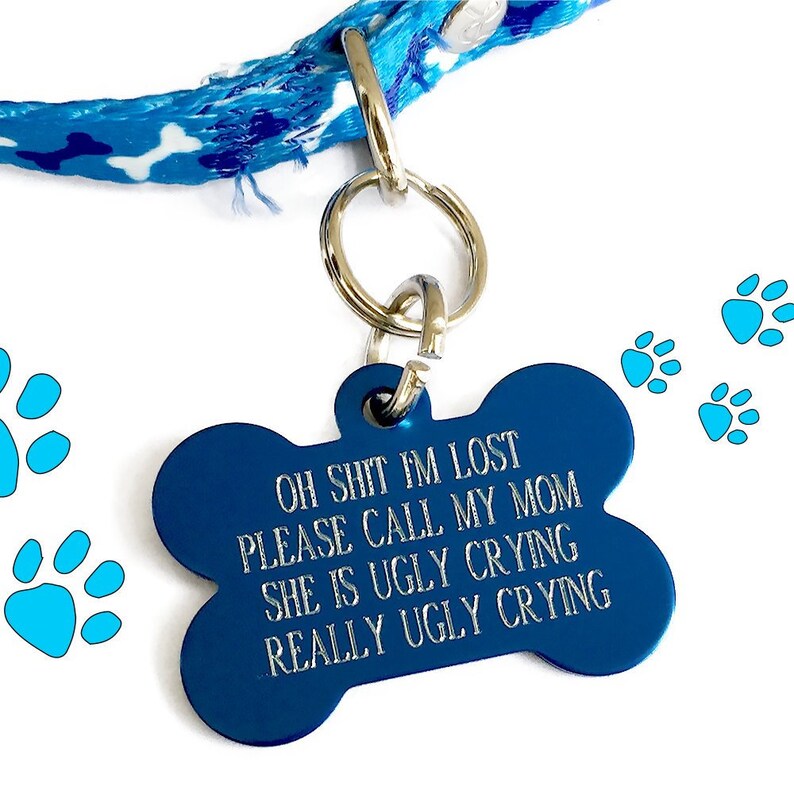 lost dog id tag