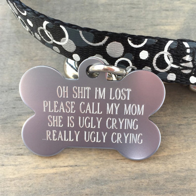 lost dog id tag