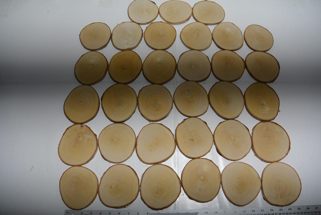 33 Birch Rounds, Lot # 1165, Birch Tree Slices, Coasters, Wedding ...