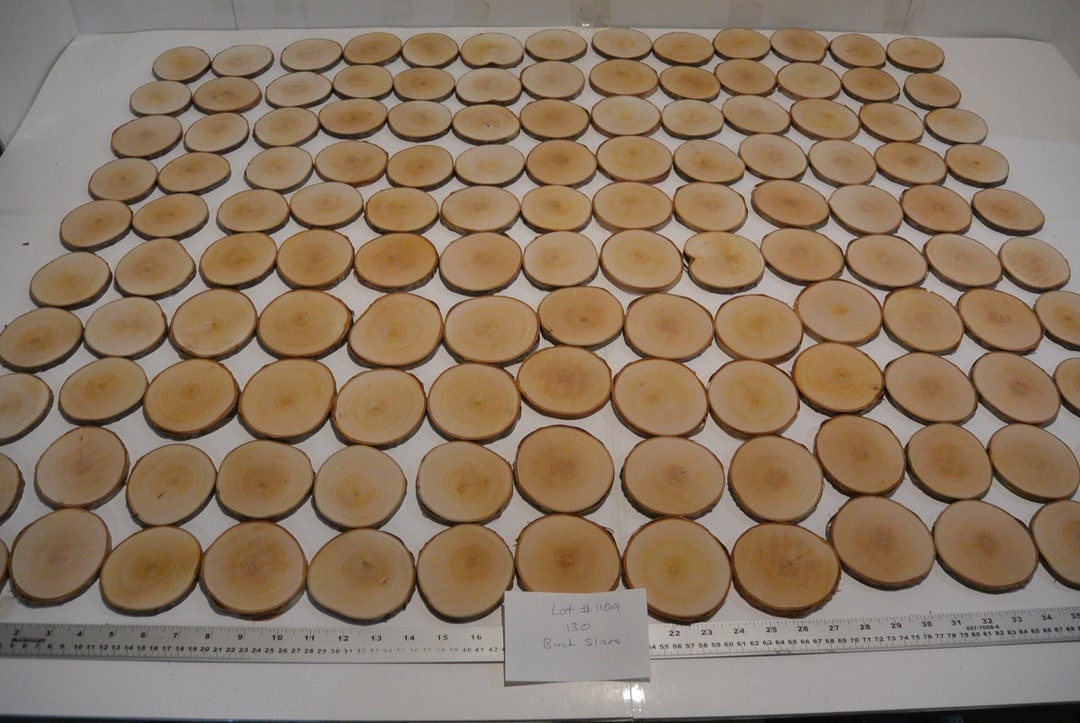 130 Birch Rounds, Lot # 1104, Birch Tree Slices, Coasters, Wedding ...