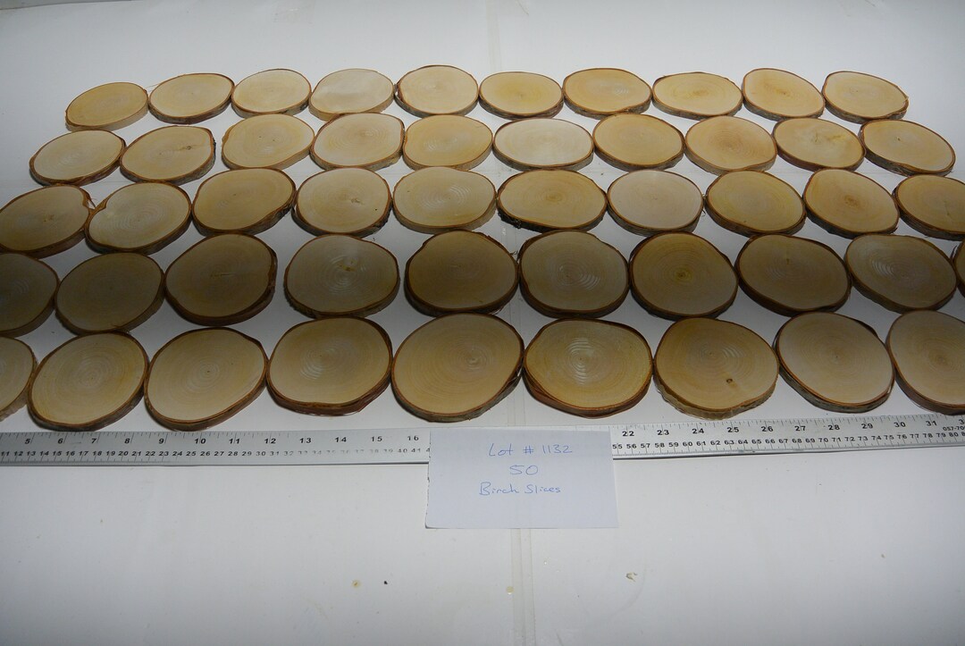 50 Birch Rounds, Lot 1132, Birch Tree Slices, Coasters, Wedding ...
