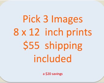 AA - Select 3 images for one price.  Printed on Kodak Premium Paper 8x12 inch images w/ Archival Laminate Coating!
