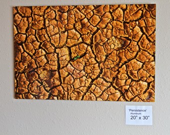 Persistence of Life  - Wall Art - Metal Print - Hawaii - Abstract Beautiful