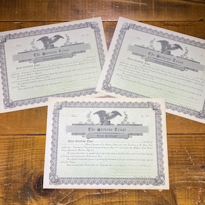 NOS Sequential Blank Stock Certificates / Trust Certificates, 1919, The Stevens Trust, Set of 3
