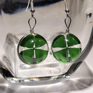 Four Leaf Clover Earrings: Dried Clover Glass Globe, Sterling Silver