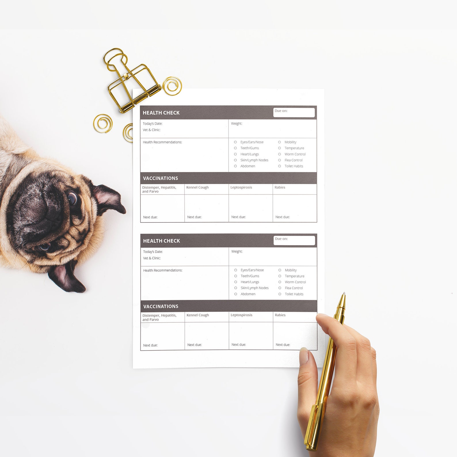 Dog Health Record Printable Etsy