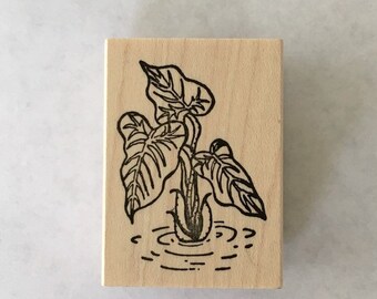 Taro "Kalo" rubber stamp