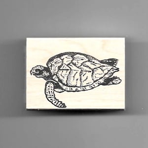 Tortose And Turtle Rubber Stamps ) | Rubber Stamp