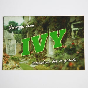 Greetings from Ivy | 4x6 Postcard Print