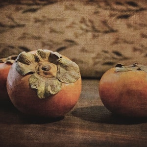 Fall Persimmon Fruit Still Life Print, Autumn Persimmon Wall Art, Rustic, Nature Wall Art, Vintage, Farmhouse, Cottage, Cottagecore