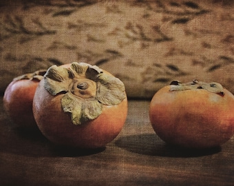 Fall Persimmon Fruit Still Life Print, Autumn Persimmon Wall Art, Rustic, Nature Wall Art, Vintage, Farmhouse, Cottage, Cottagecore