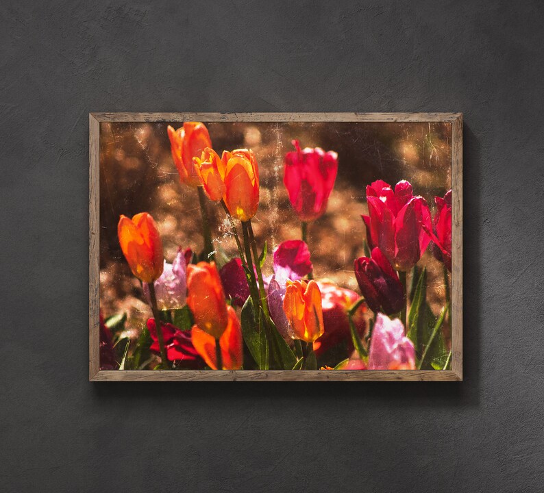 Rustic Floral Wall Art Tulip Vintage Textured Etsy