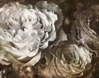 Old World Botanical Print | Sepia Flower Photography | Rustic Roses Wall Art | Vintage | Romantic | Farmhouse | Shabby Chic | Cottage