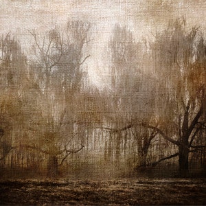 Weeping Willow Wall Art | Sepia | Southern Gothic | Rustic | Vintage | Nature Wall Art |  Farmhouse | Cottage | Cottagecore | Dark